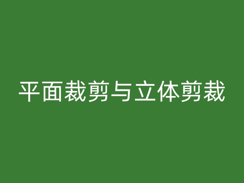 平面裁剪与立体剪裁