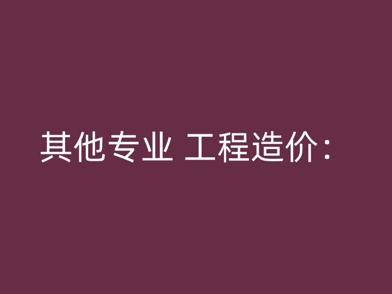 其他专业 工程造价：