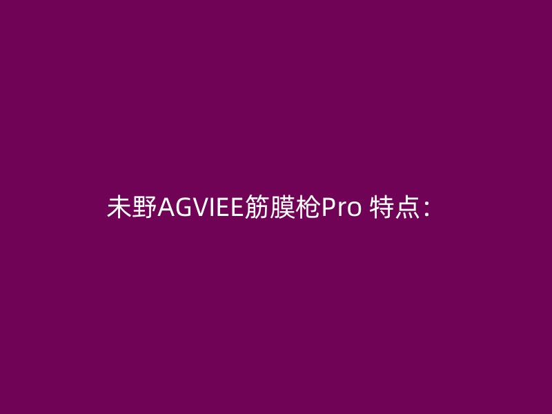 未野AGVIEE筋膜枪Pro 特点：