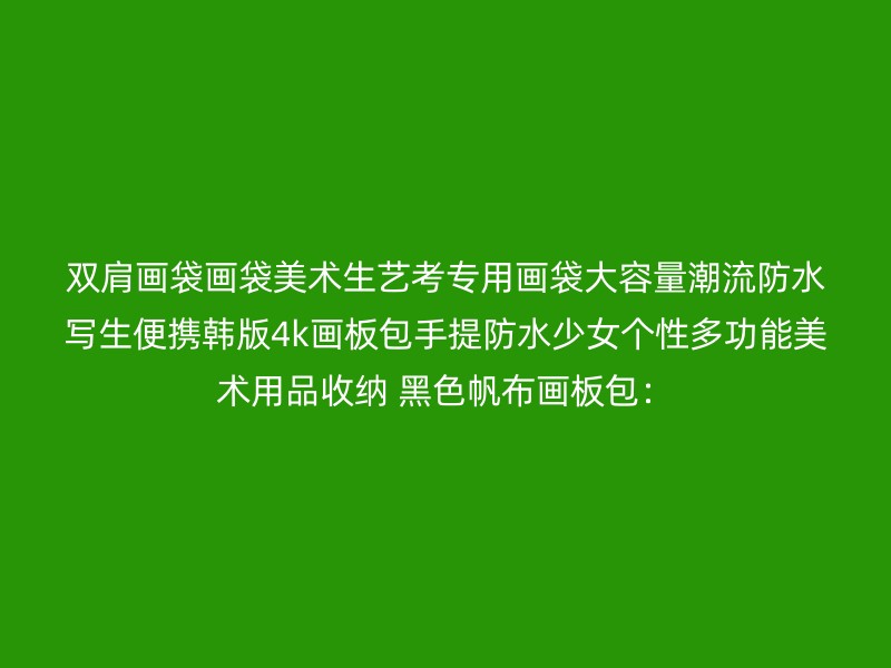 双肩画袋画袋美术生艺考专用画袋大容量潮流防水写生便携韩版4k画板包手提防水少女个性多功能美术用品收纳 黑色帆布画板包：