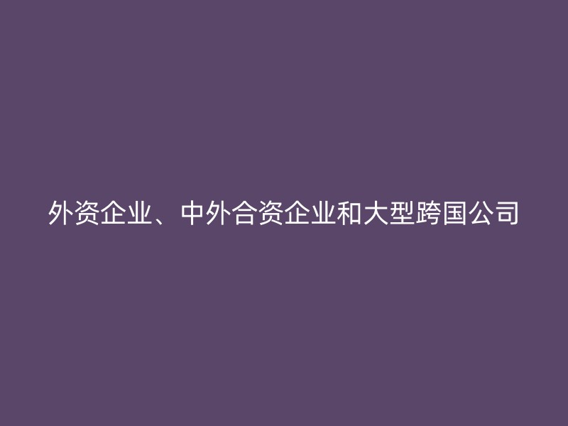 外资企业、中外合资企业和大型跨国公司