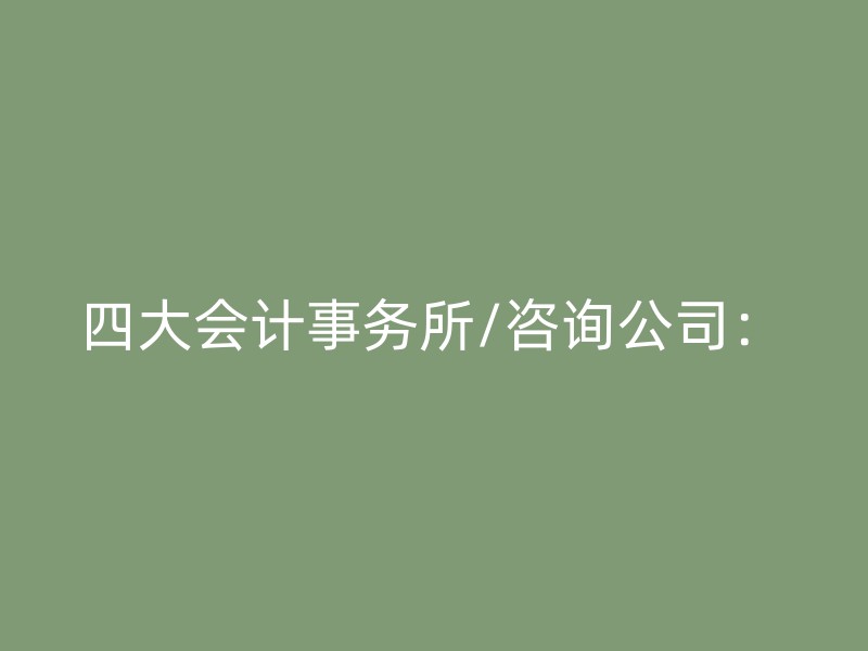 四大会计事务所/咨询公司：