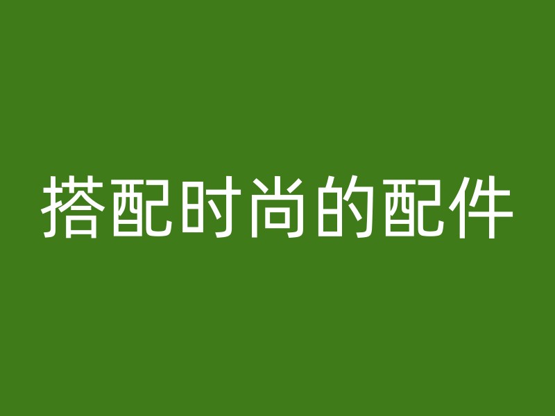 搭配时尚的配件