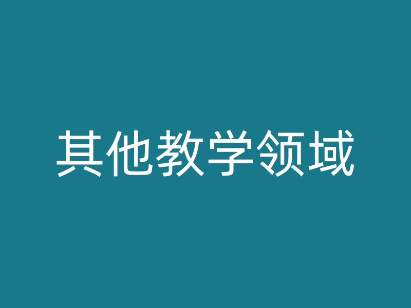 其他教学领域