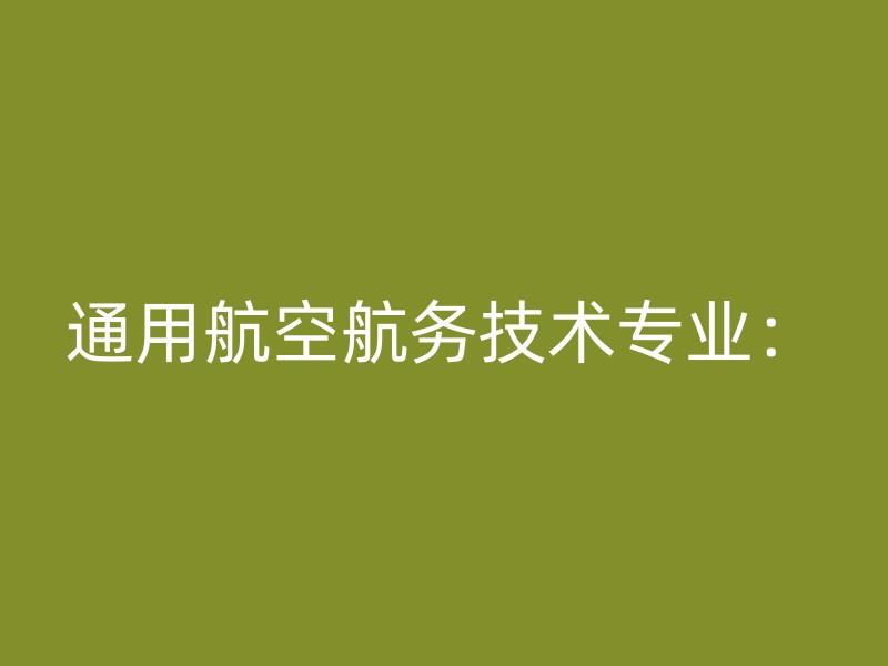 通用航空航务技术专业：