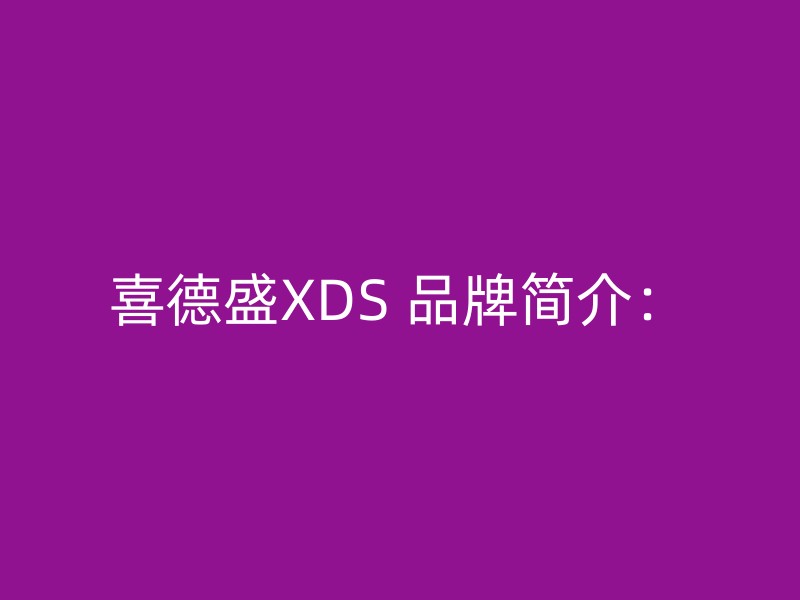 喜德盛XDS 品牌简介：