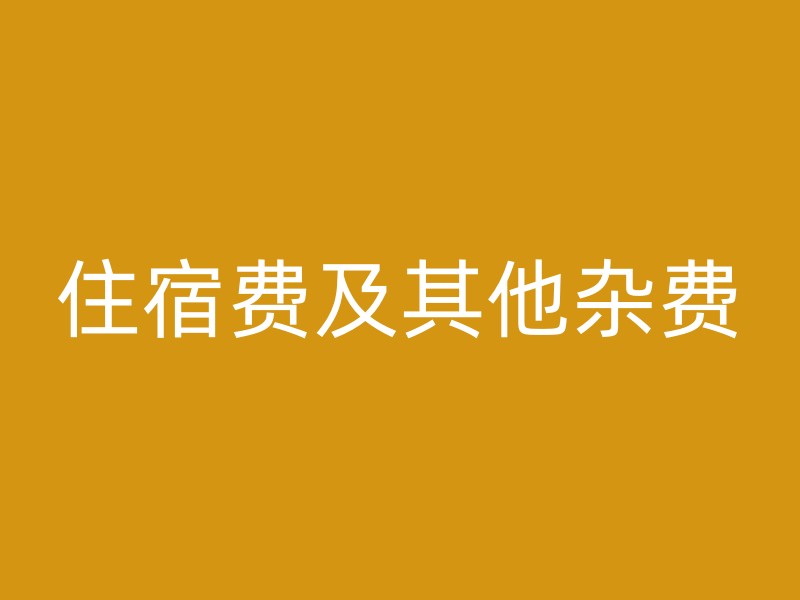 住宿费及其他杂费