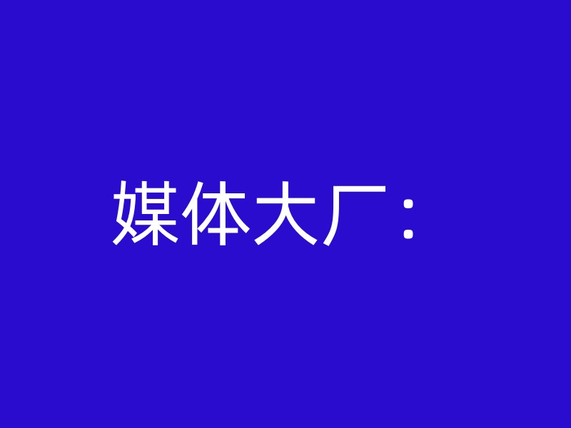 媒体大厂：