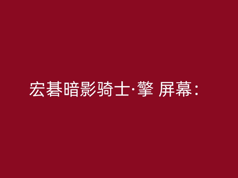 宏碁暗影骑士·擎 屏幕：