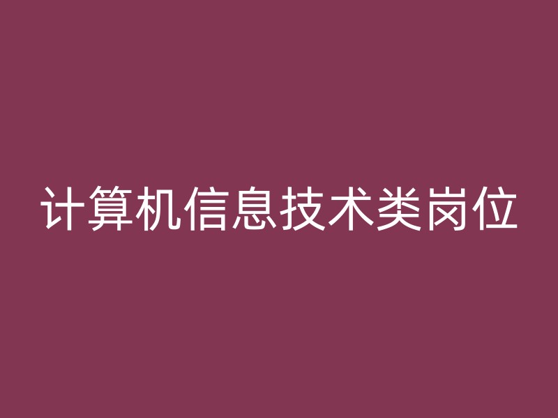 计算机信息技术类岗位