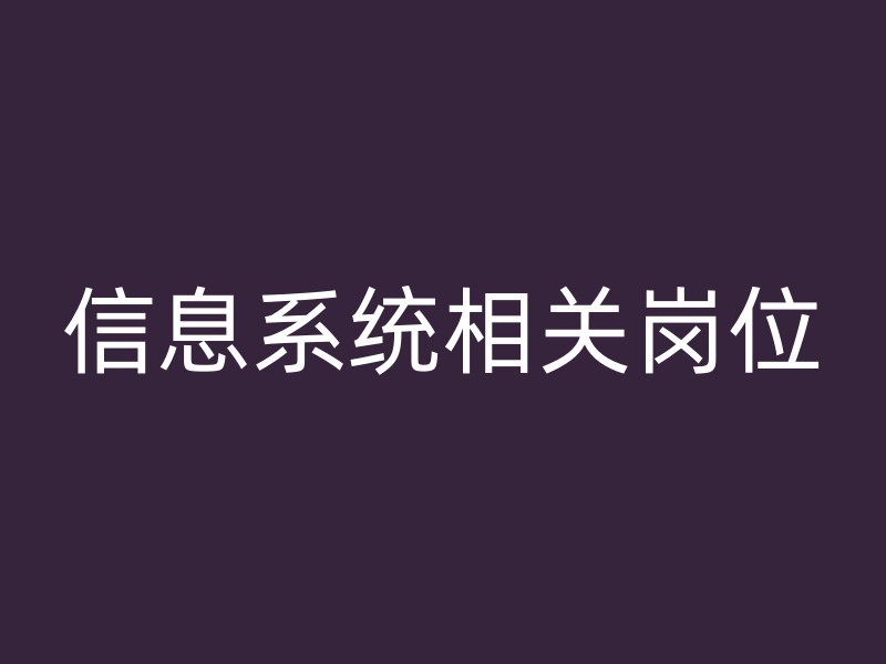 信息系统相关岗位