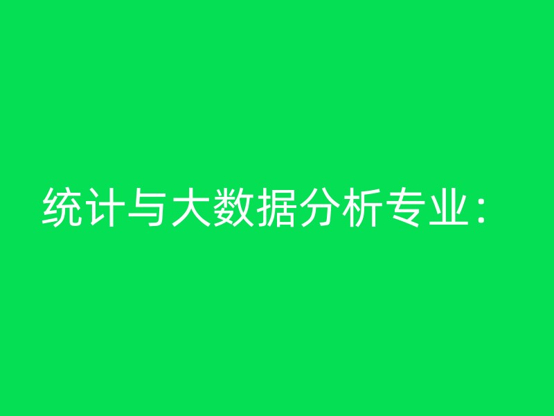 统计与大数据分析专业：