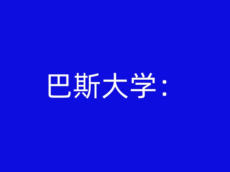 巴斯大学：