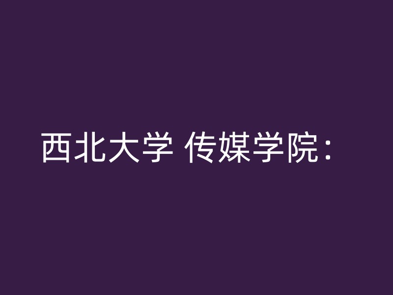 西北大学 传媒学院：