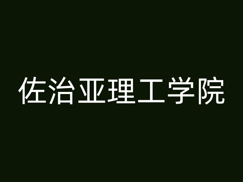 佐治亚理工学院