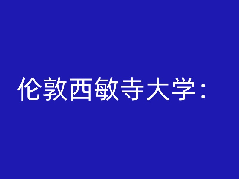 伦敦西敏寺大学：