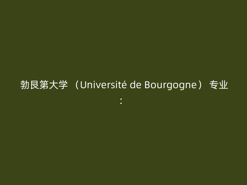 勃艮第大学 （Université de Bourgogne） 专业：