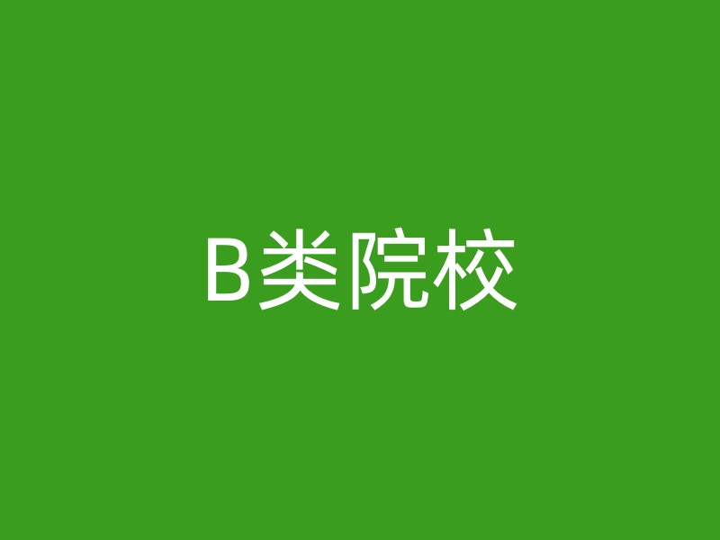 B类院校