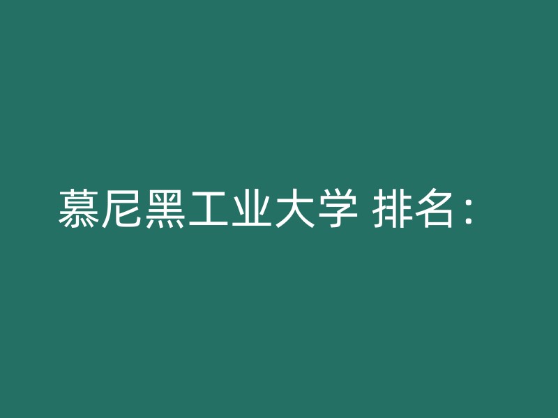 慕尼黑工业大学 排名：