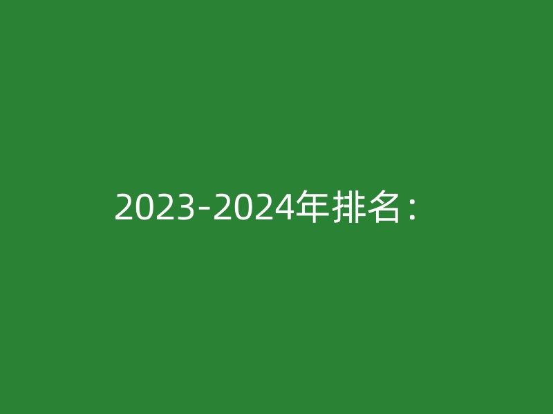 2023-2024年排名：