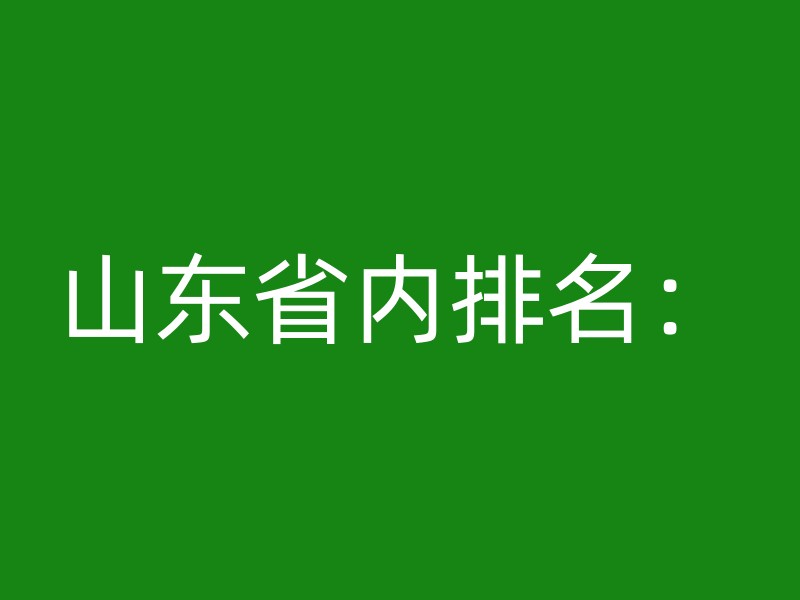 山东省内排名：