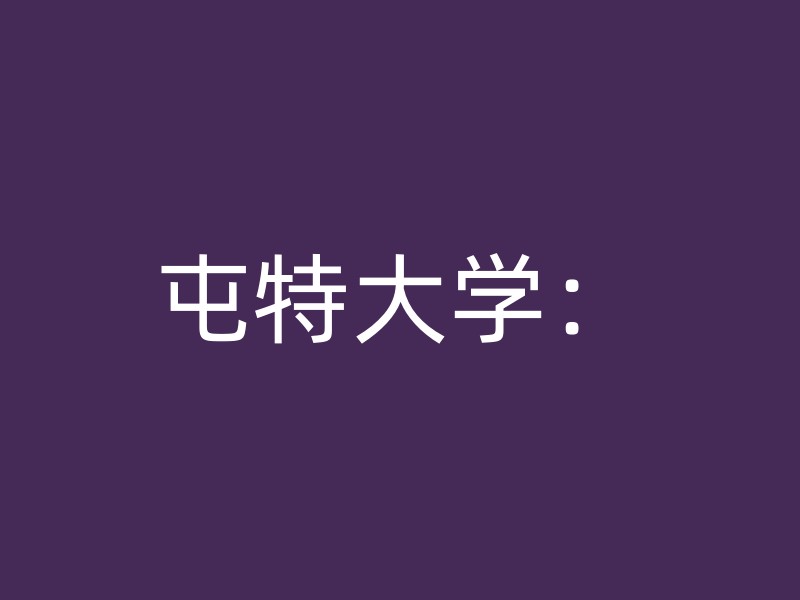 屯特大学：