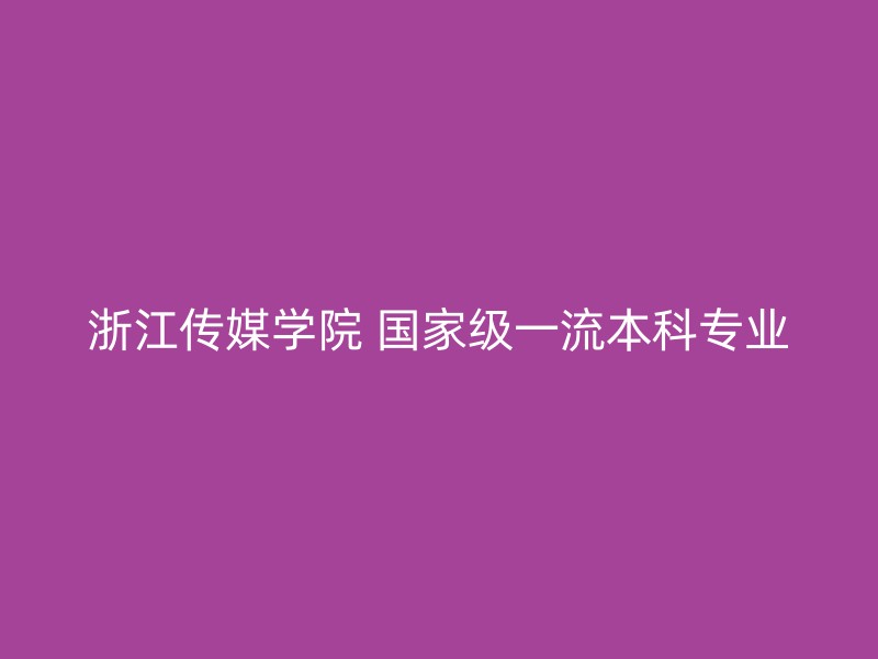 浙江传媒学院 国家级一流本科专业