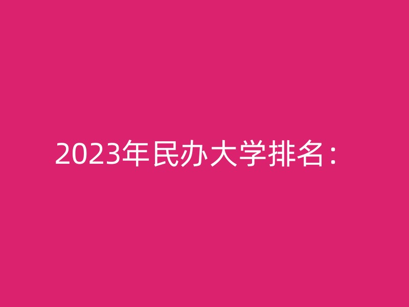 2023年民办大学排名：