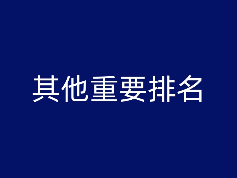 其他重要排名