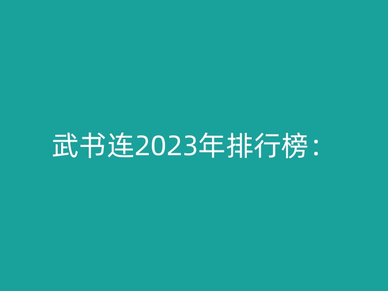 武书连2023年排行榜：