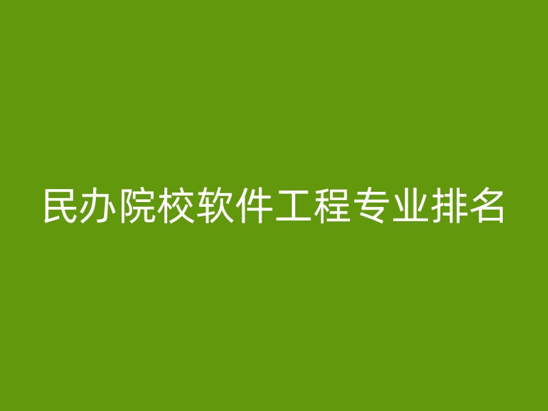 民办院校软件工程专业排名