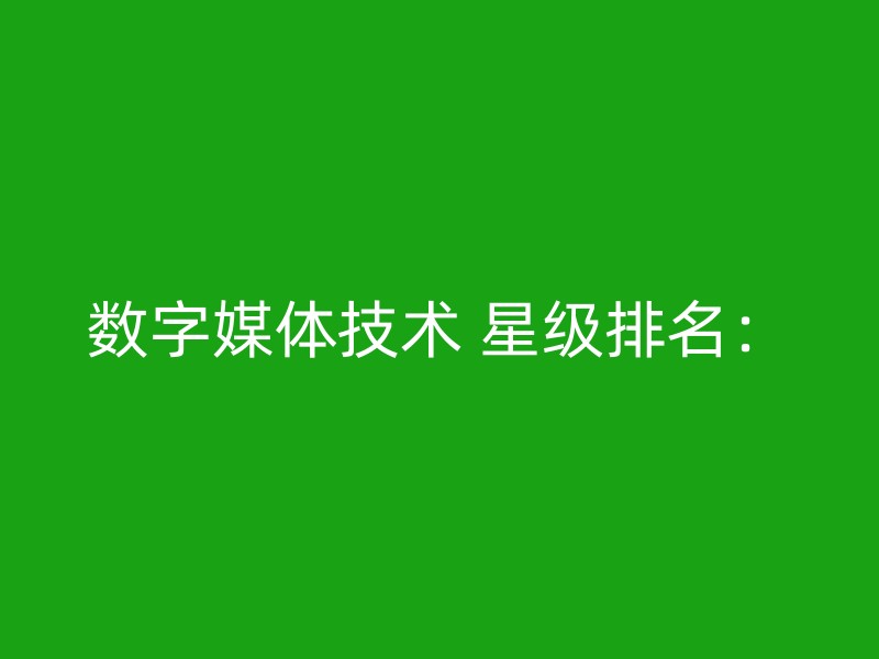 数字媒体技术 星级排名：