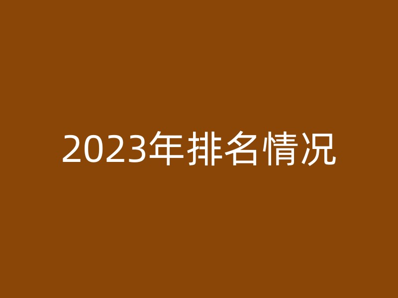 2023年排名情况