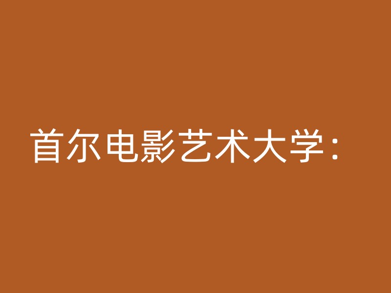 首尔电影艺术大学：