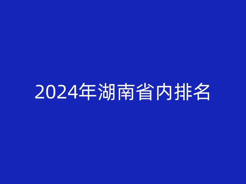 2024年湖南省内排名