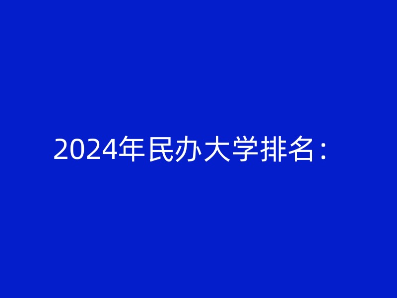 2024年民办大学排名：