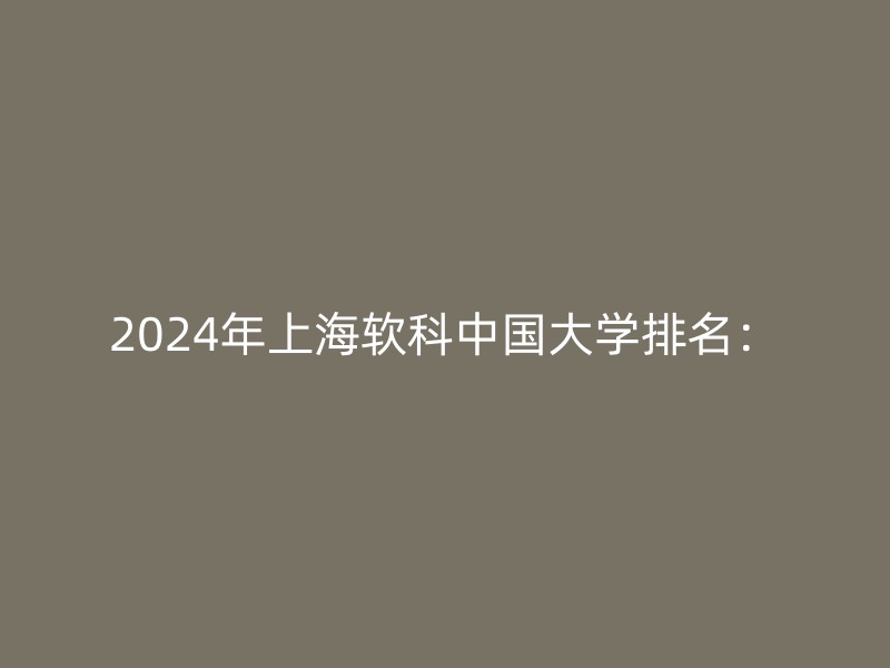 2024年上海软科中国大学排名：