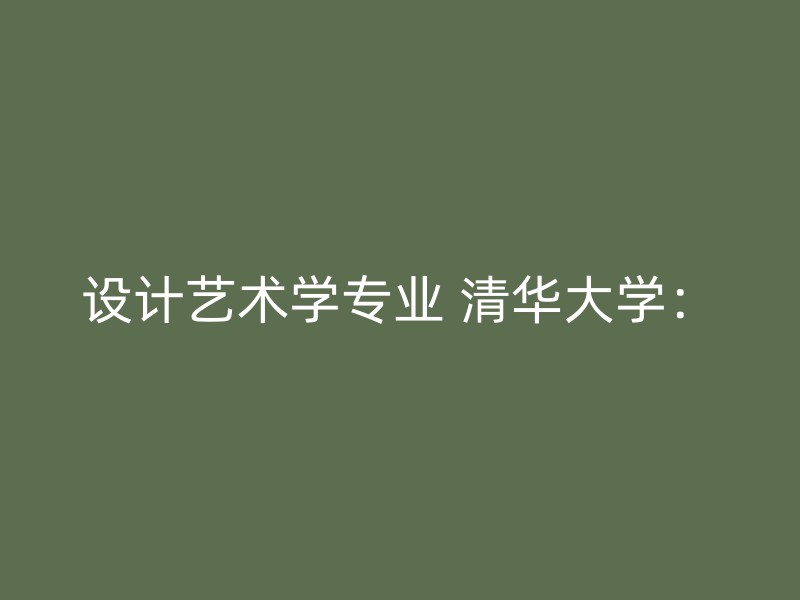 设计艺术学专业 清华大学：