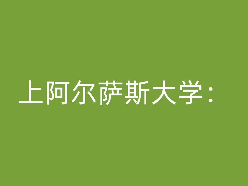 上阿尔萨斯大学：