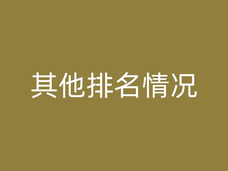 其他排名情况