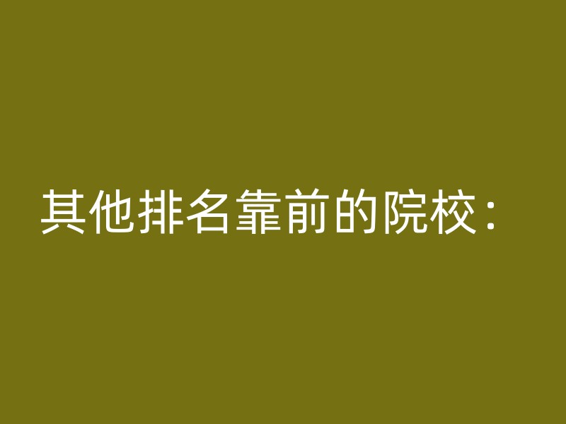 其他排名靠前的院校：