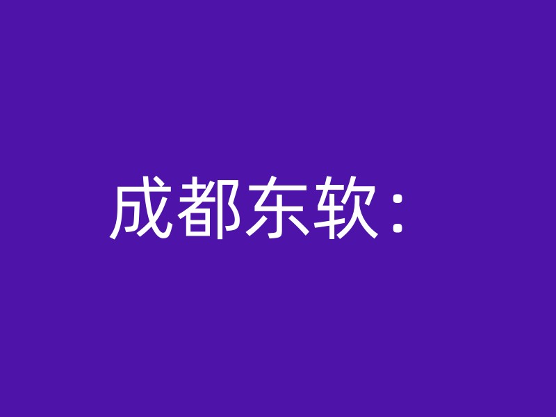 成都东软：