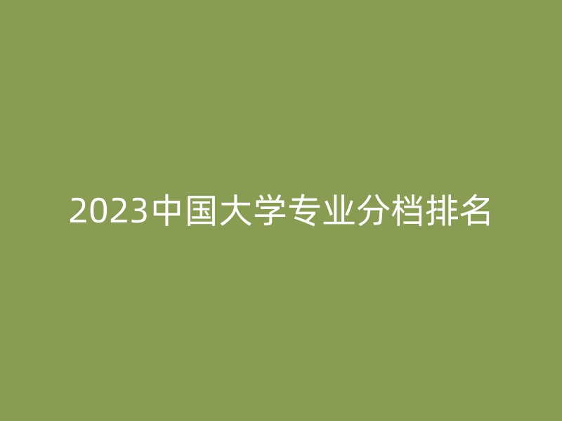 2023中国大学专业分档排名