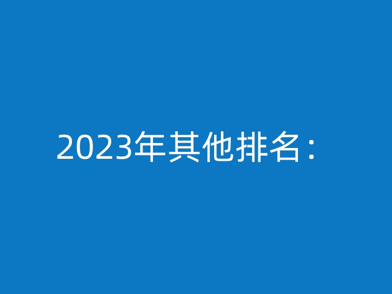 2023年其他排名：