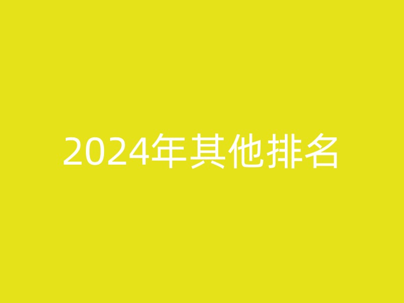 2024年其他排名