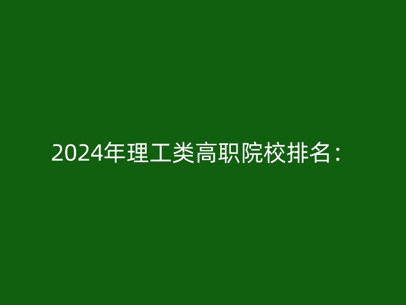 2024年理工类高职院校排名：