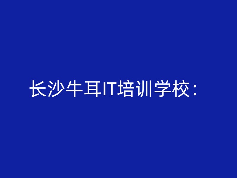 长沙牛耳IT培训学校：