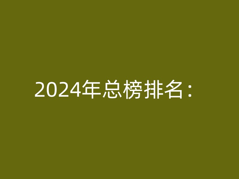 2024年总榜排名：