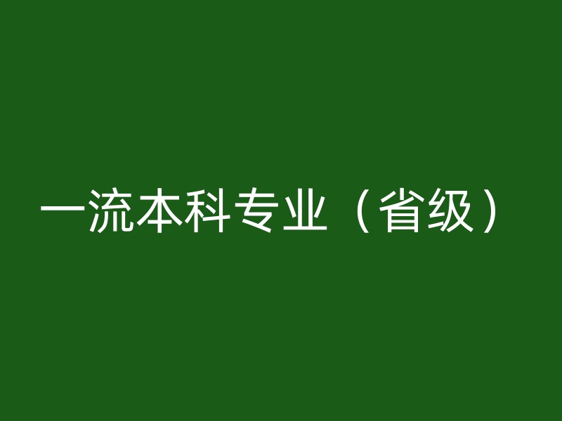 一流本科专业（省级）