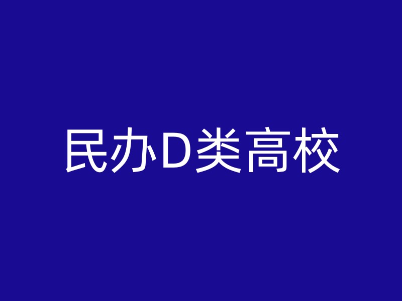 民办D类高校